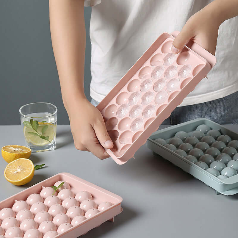 Ice Tray Mold Household Ice Box Homemade Ice Cube